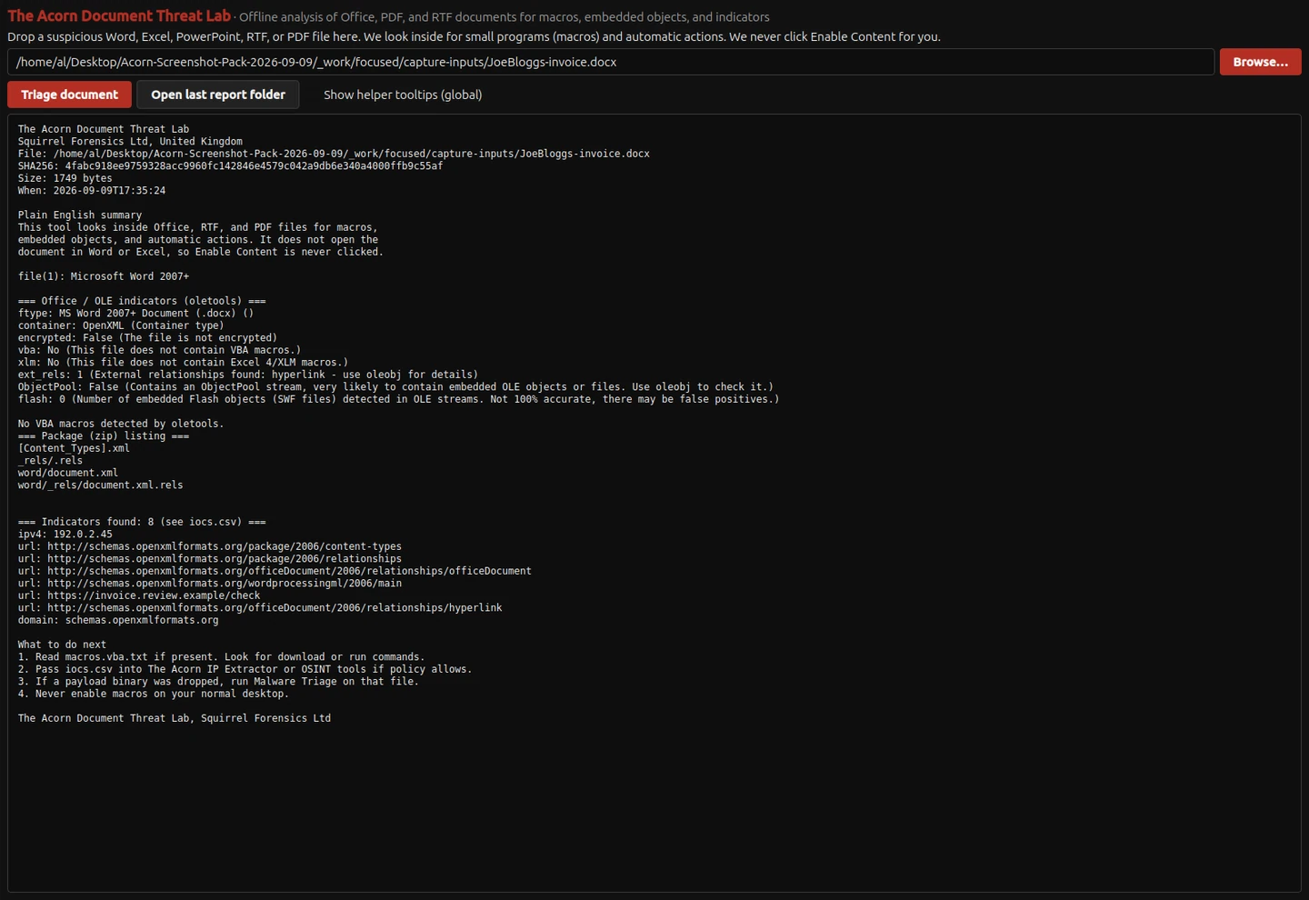 Static examination of an invented DOCX invoice identifies its OpenXML container, one external hyperlink and no VBA macros. The source hash and package paths remain visible; the document was not opened in Office.