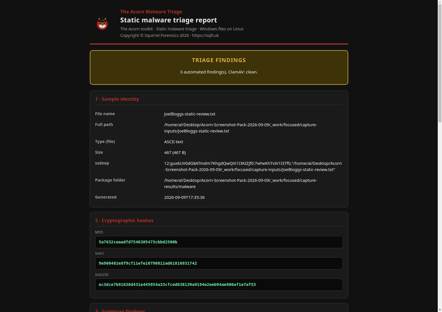 The native static-triage report keeps the training file's identity, hashes and three automated leads together. The antivirus scan found no signature match; a local test rule matched deliberately included review markers. This view shows the report's opening section.