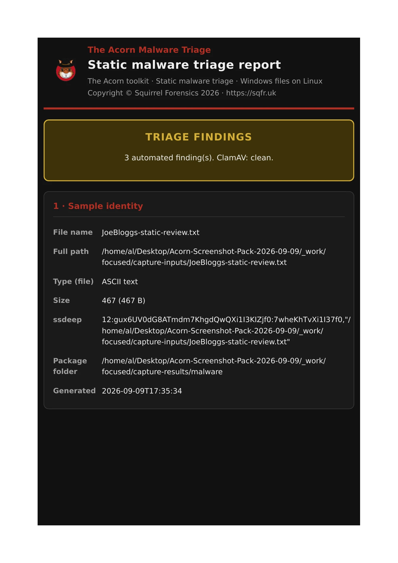 Native Acorn Malware Triage report page from an inert constructed training example.